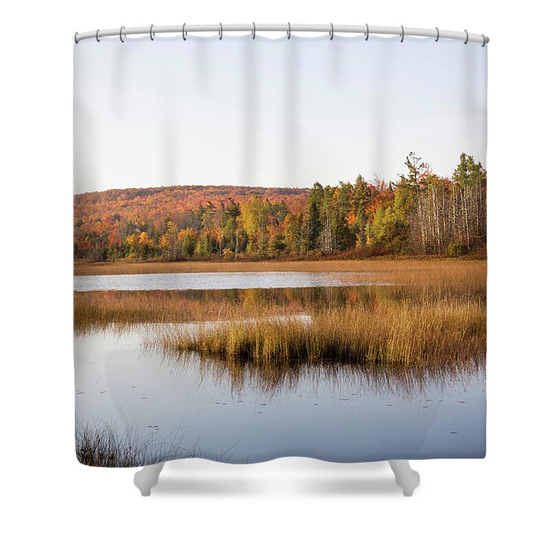 Photography Shower Curtain featuring the photograph Pond In A Forest, Alger County, Upper by Panoramic Images