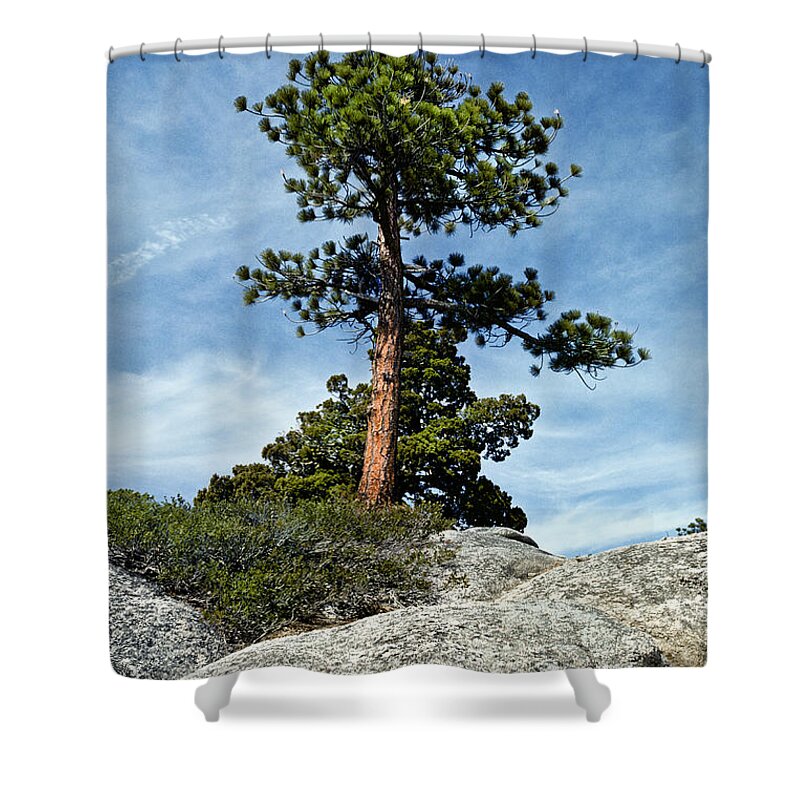 Beauty In Nature Shower Curtain featuring the photograph Ponderosa Pine and Granite Boulders by Jeff Goulden