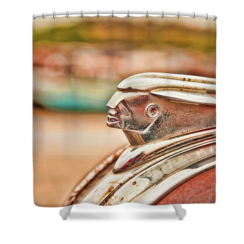 George Buxbaum Shower Curtain featuring the photograph Pontiac Indian by George Buxbaum