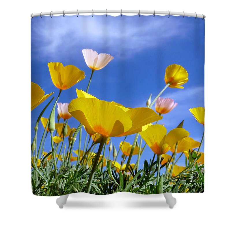 Arizona Shower Curtain featuring the photograph Poppies and Blue Arizona Sky by Lucinda Walter