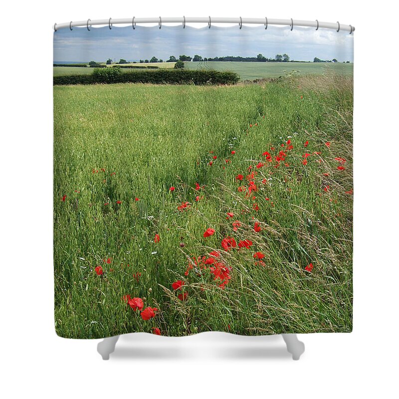 Cornfield Shower Curtain featuring the photograph Red Poppies and Cornfield by Phil Banks