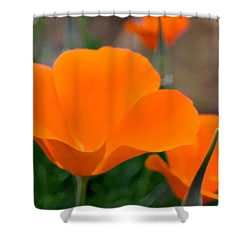 Floral Shower Curtain featuring the photograph Poppy 21 by Pamela Cooper