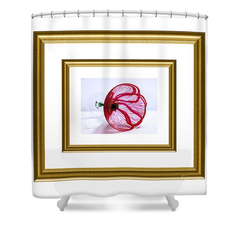 Poppy In White And Gold Frame Shower Curtain featuring the painting Poppy in white and gold frame by Oksana Semenchenko