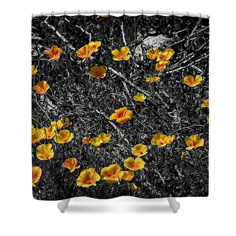 Arizona Shower Curtain featuring the photograph Poppyflies by Mark Myhaver