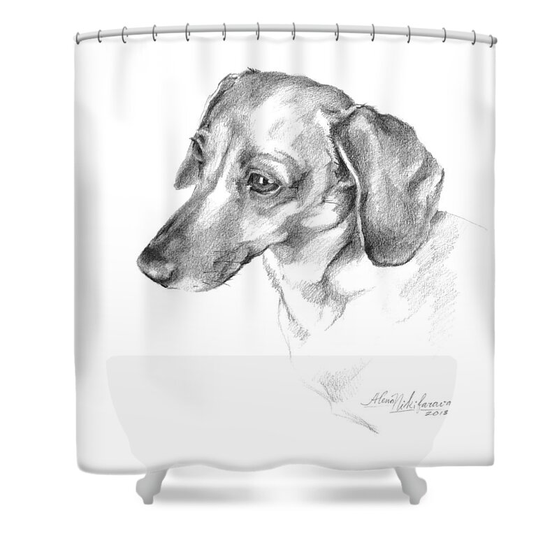 Dachshund Shower Curtain featuring the drawing Portrait of a Dachshund Paying Attention by Alena Nikifarava