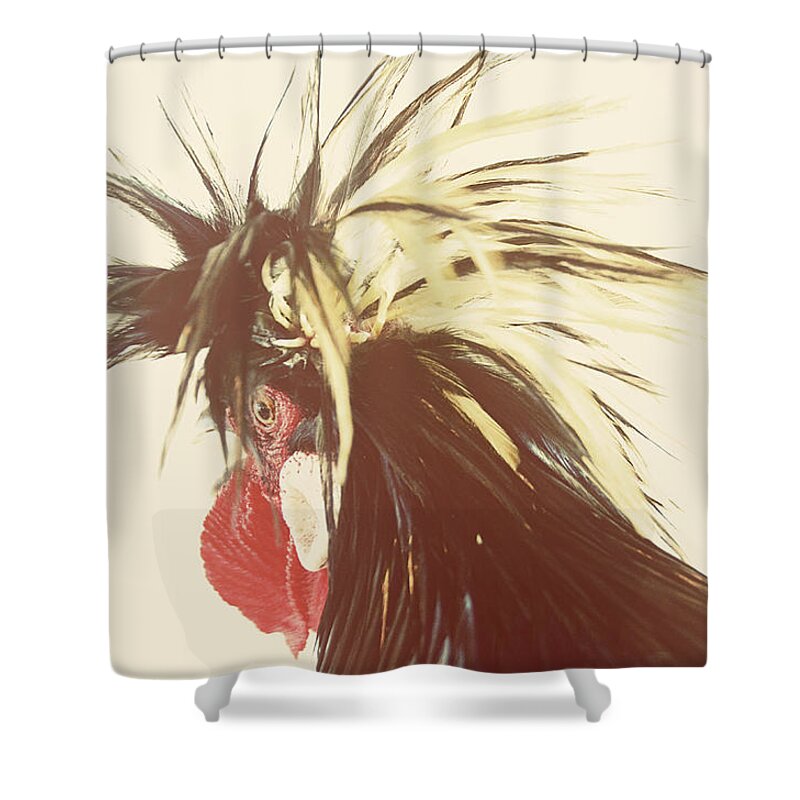 Animal Themes Shower Curtain featuring the photograph Portrait Of A Punky Rooster by Jessica Lynn Culver