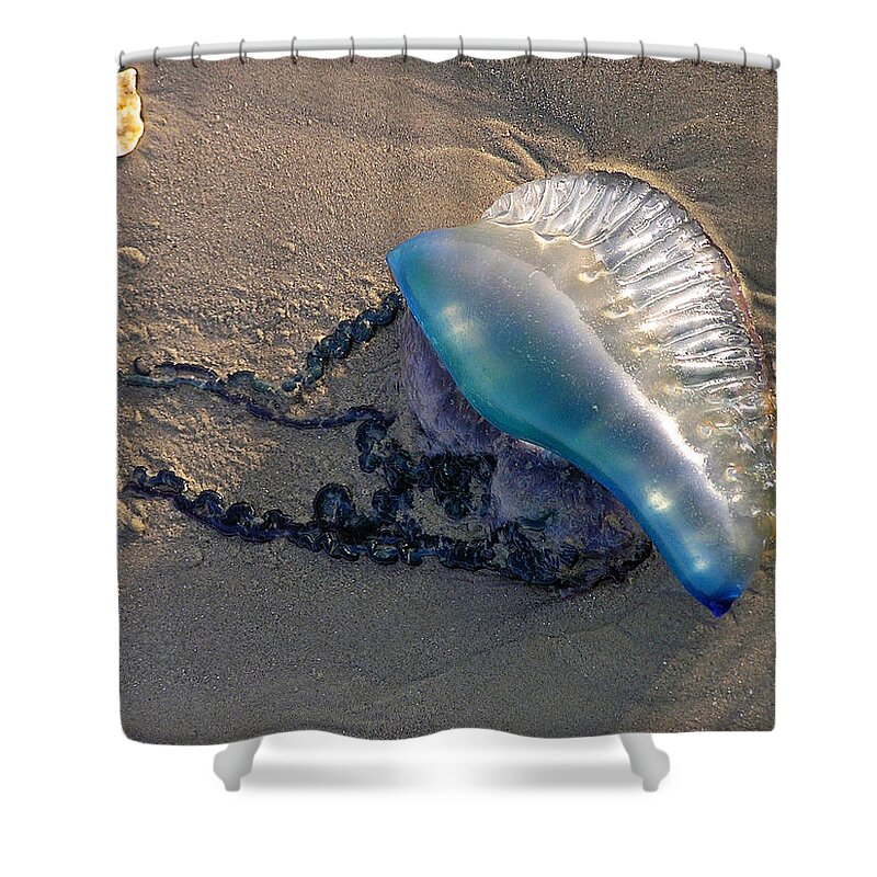 Jelly Shower Curtain featuring the photograph Portuguese Man o' War by Adam Johnson