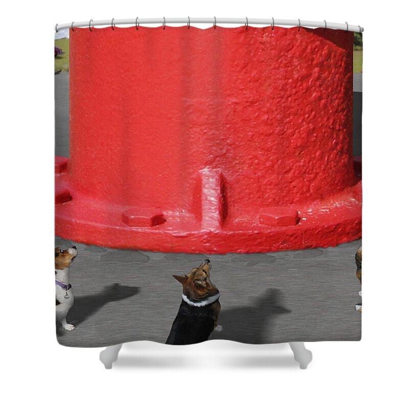 Corgis Shower Curtain featuring the photograph Postcards from Otis - The Hydrant by Mike McGlothlen