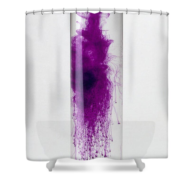 Chemical Reaction Shower Curtain featuring the photograph Potassium Permanganate Diffusing by Dorling Kindersley