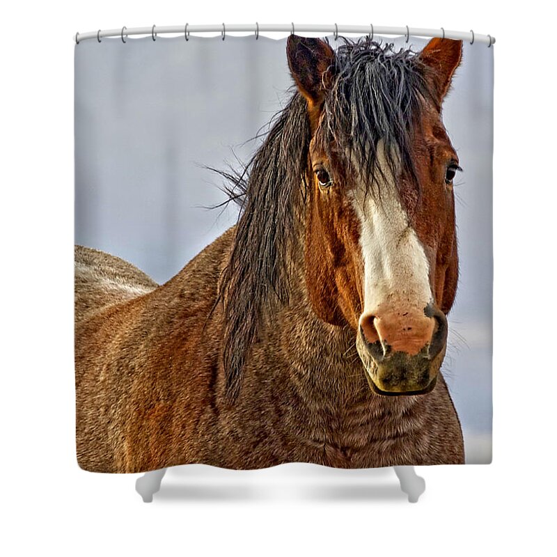 Winter's Edge Shower Curtain featuring the photograph Winter's Edge by Amanda Smith