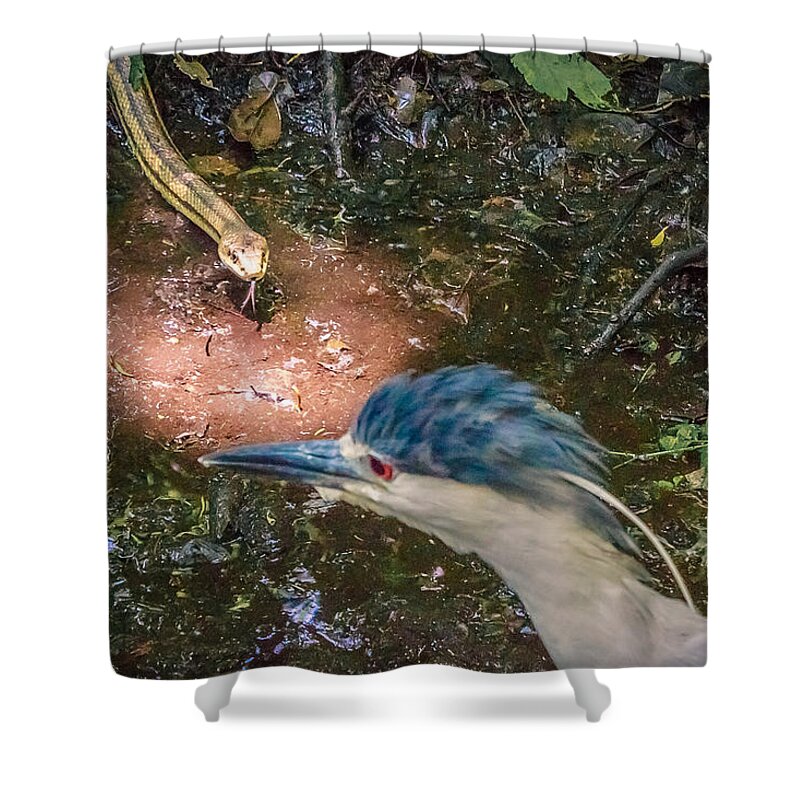 Adult Shower Curtain featuring the photograph Predator Or Prey by Traveler's Pics