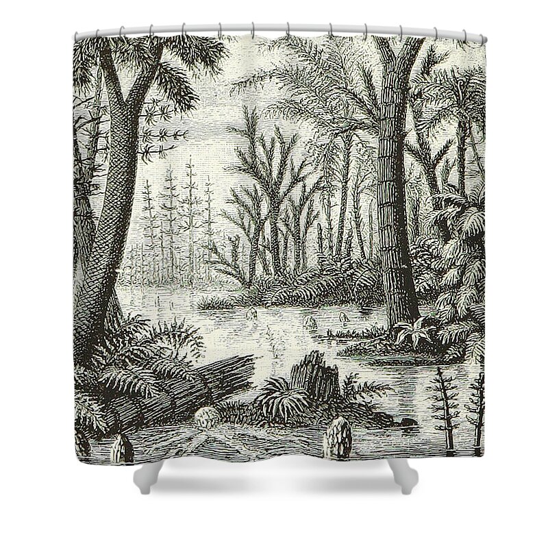 Historic Shower Curtain featuring the photograph Prehistoric Flora, Carboniferous by British Library
