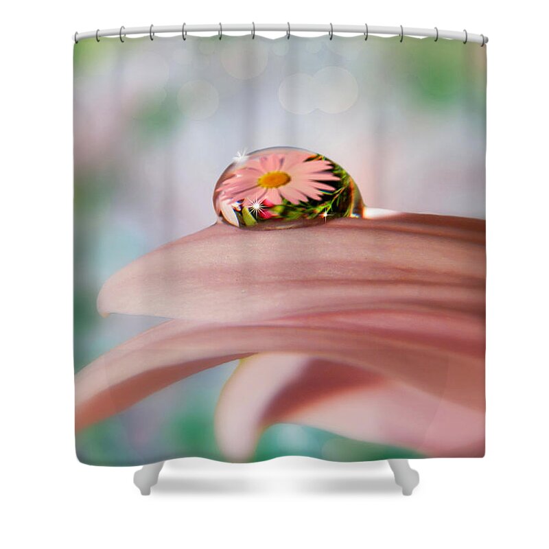 Flowers Shower Curtain featuring the photograph Pretty Flower Drop by Nina Bradica