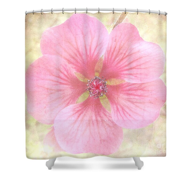 Pink Shower Curtain featuring the photograph Pretty In Pastel by Peggy Hughes