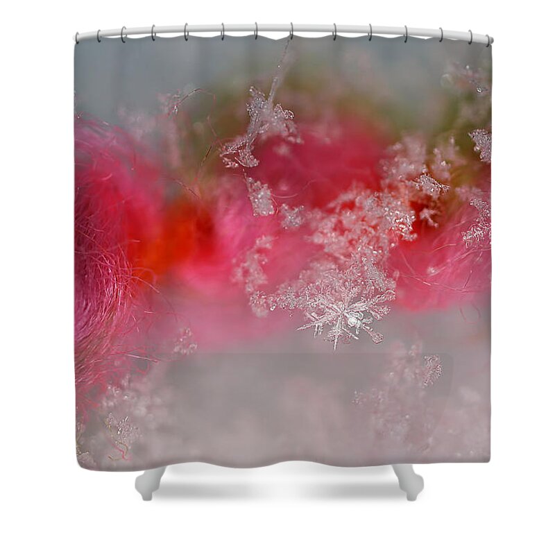 Lauren Radke Shower Curtain featuring the photograph Pretty Little Snowflakes by Lauren Radke