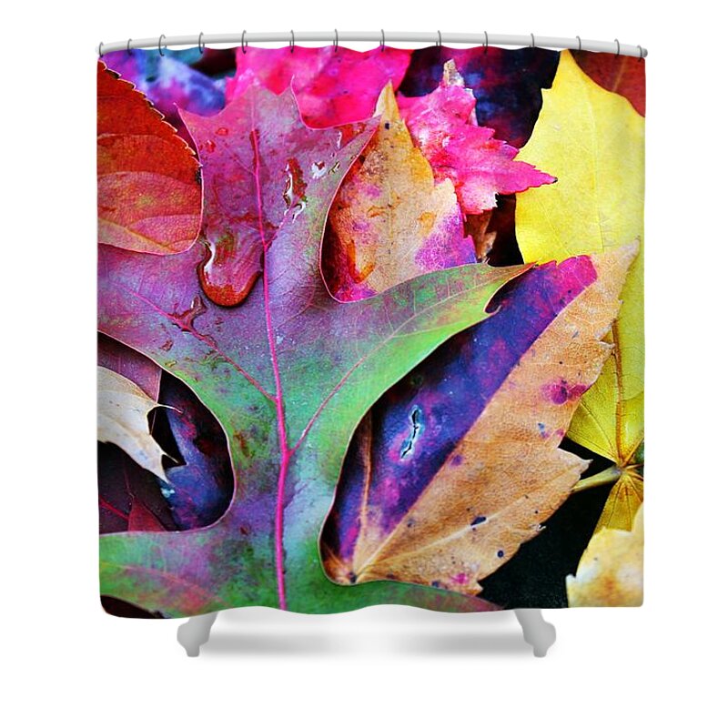 Autumn Shower Curtain featuring the photograph Primary Colors Of Fall by Judy Palkimas