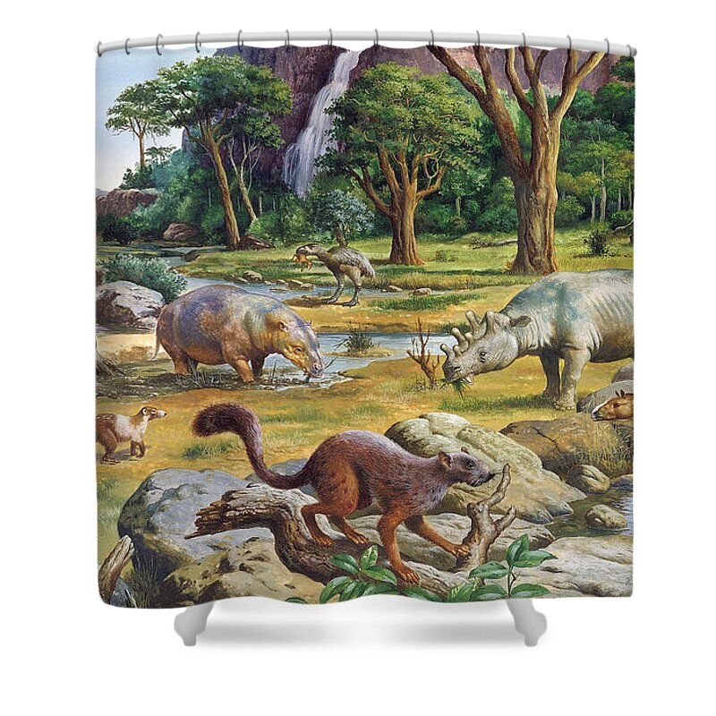 Illustration Shower Curtain featuring the photograph Primitive Mammals From The Cenozoic by Publiphoto