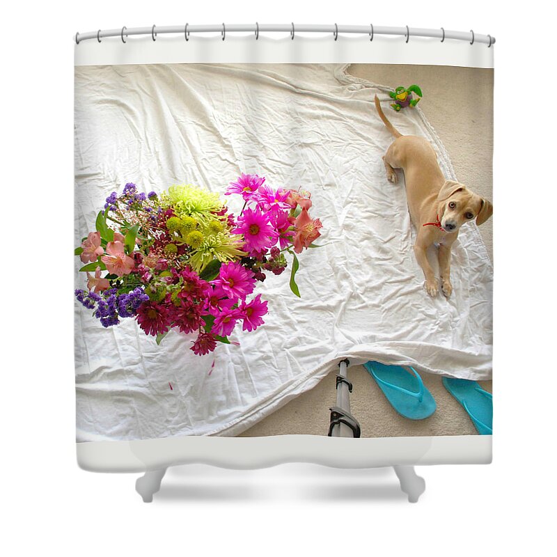Princess Betty Biscuits Shower Curtain featuring the photograph PRiNCeSS oN AssignmenT by Angela J Wright