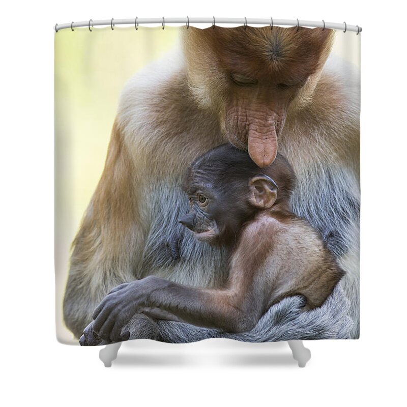 Suzi Eszterhas Shower Curtain featuring the photograph Proboscis Monkey Mother Holding Baby by Suzi Eszterhas