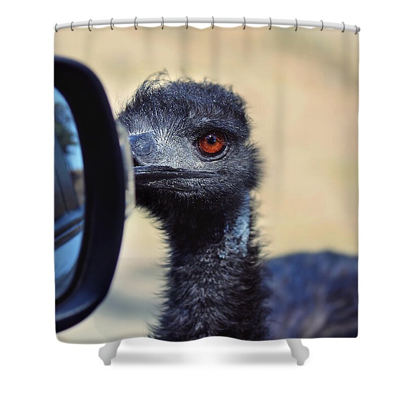 Emu Shower Curtain featuring the photograph Proceed with Caution by Melanie Lankford Photography