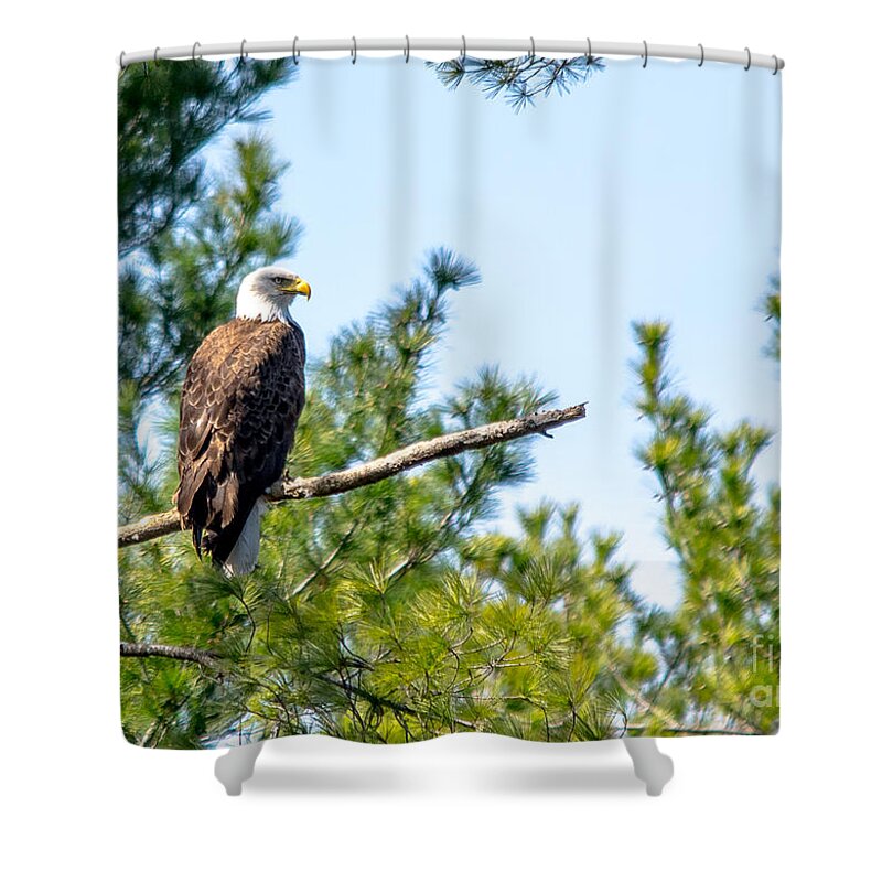 Landcape Shower Curtain featuring the photograph Proud Papa by Cheryl Baxter