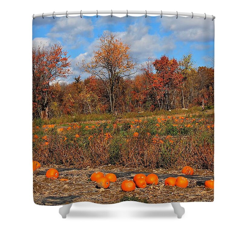 Sterling Ma Shower Curtain featuring the photograph Pumpkin Patch at Rota Springs 2 by Michael Saunders