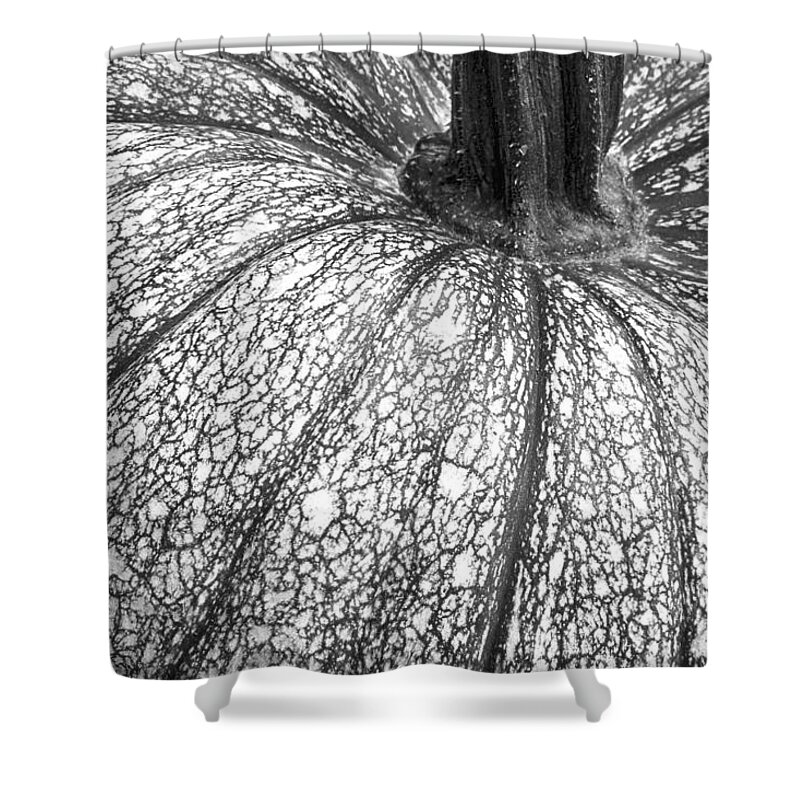 Pumpkin Shower Curtain featuring the photograph Pumpkin Pumpkin Black and White by James BO Insogna
