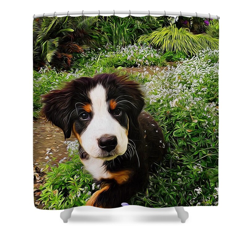Little Lily Shower Curtain featuring the painting Puppy Art - Little Lily by Jordan Blackstone