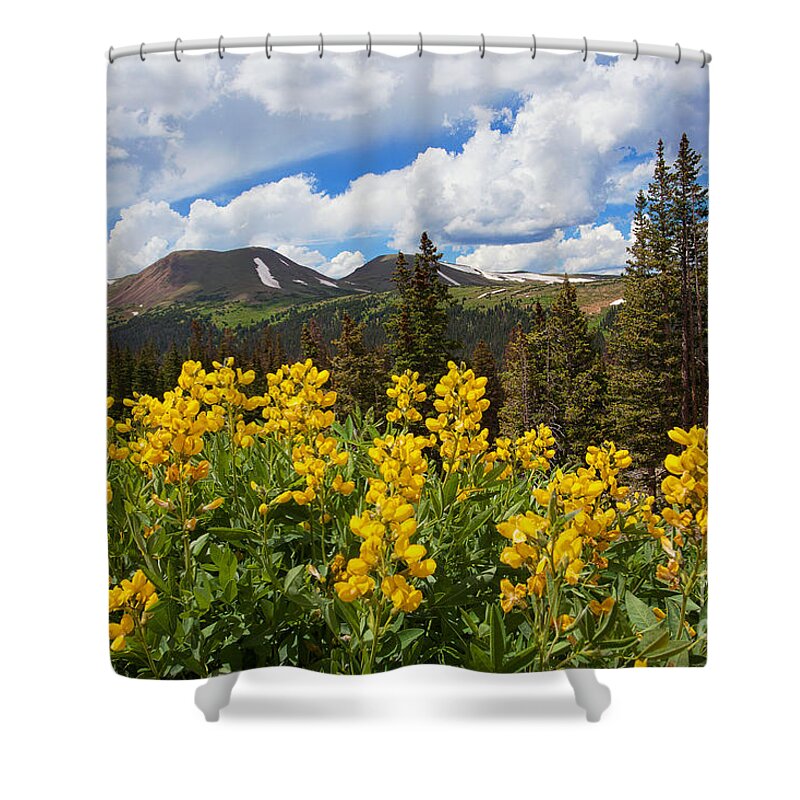 Flowers Shower Curtain featuring the photograph Pure Gold by Jim Garrison