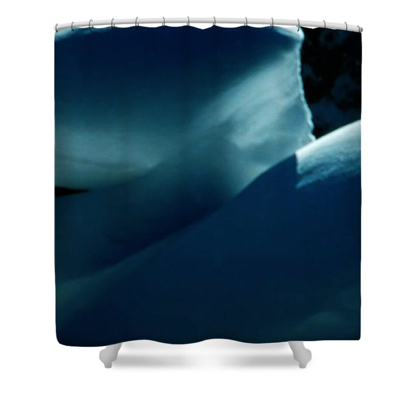 Colette Shower Curtain featuring the photograph Pure Snow by Colette V Hera Guggenheim