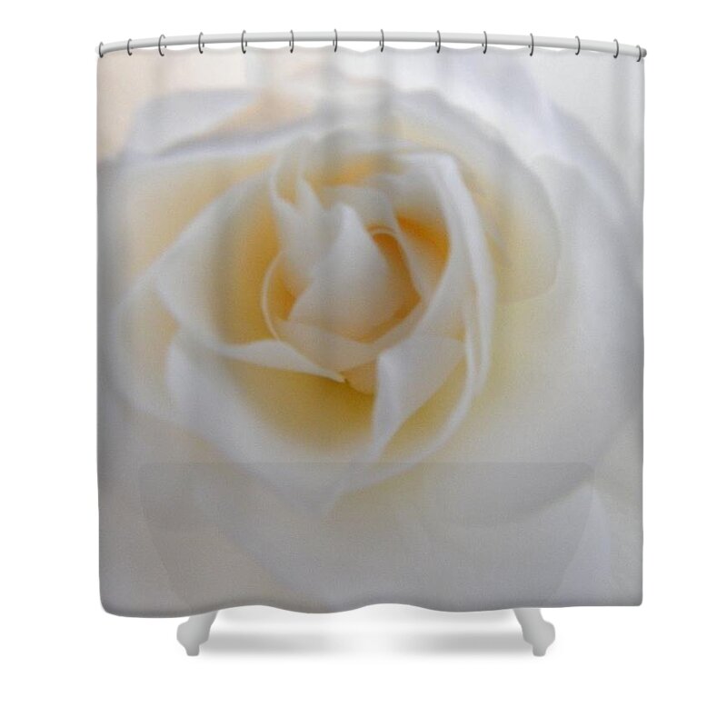 Rose Shower Curtain featuring the photograph Purity by Deb Halloran