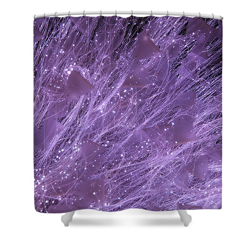 Purple Shower Curtain featuring the photograph Purple by Adrienne Franklin