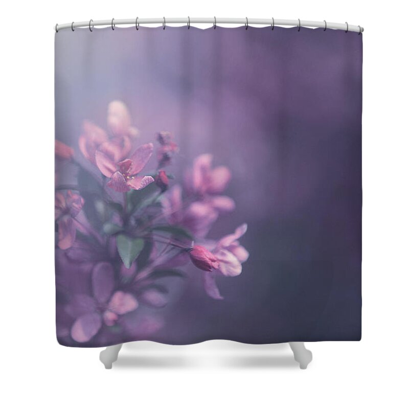 Purple Shower Curtain featuring the photograph Purple by Carrie Ann Grippo-Pike