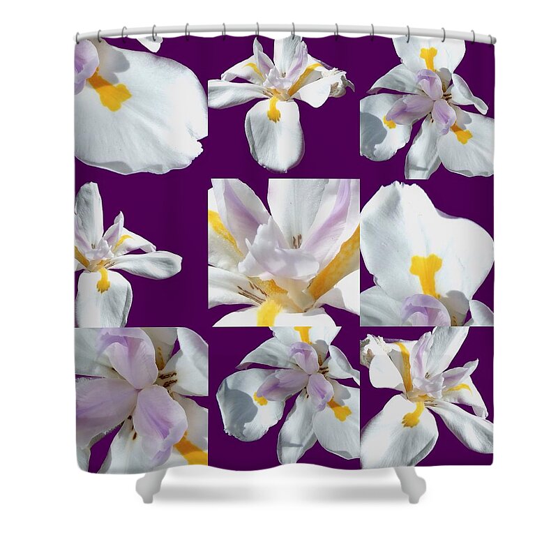 Flower Shower Curtain featuring the photograph Purple Flowers by Steve Ondrus