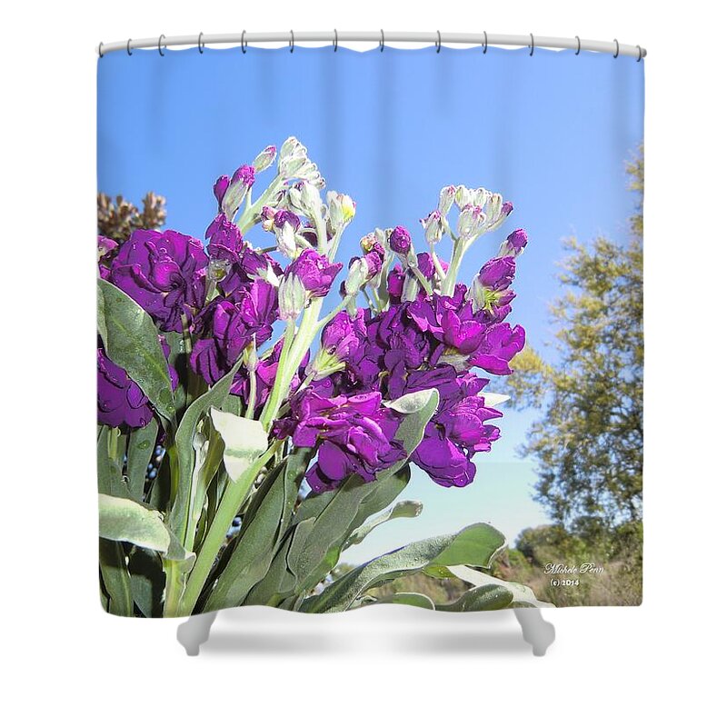 Purple Shower Curtain featuring the photograph Purple glow by Michele Penn