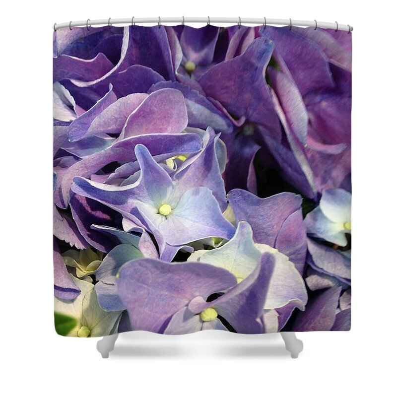 Hydrangeas Shower Curtain featuring the photograph Purple Hydrangeas by Marian Lonzetta