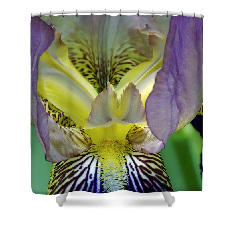 2d Shower Curtain featuring the photograph Purple Iris by Brian Wallace