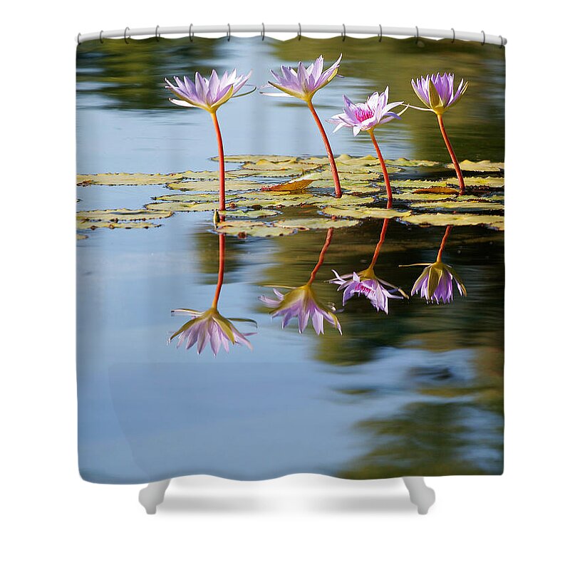 Lillies Shower Curtain featuring the photograph Purple Lillies by Peter Tellone