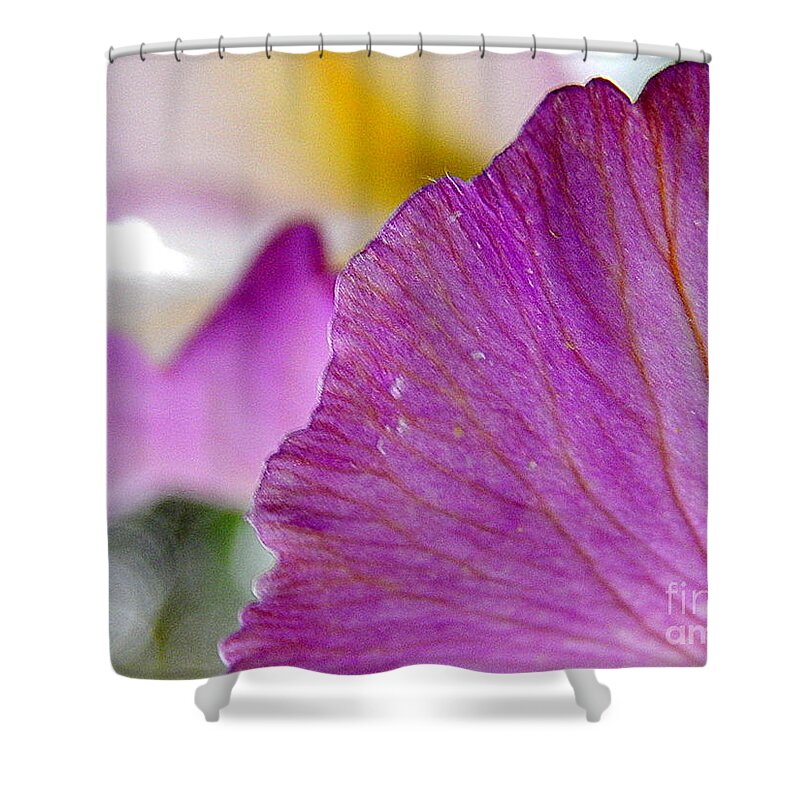 New Orleans Photography Shower Curtain featuring the photograph Iris Purple Mountains Majesty A Spring Equinox In New Orleans Louisiana by Michael Hoard