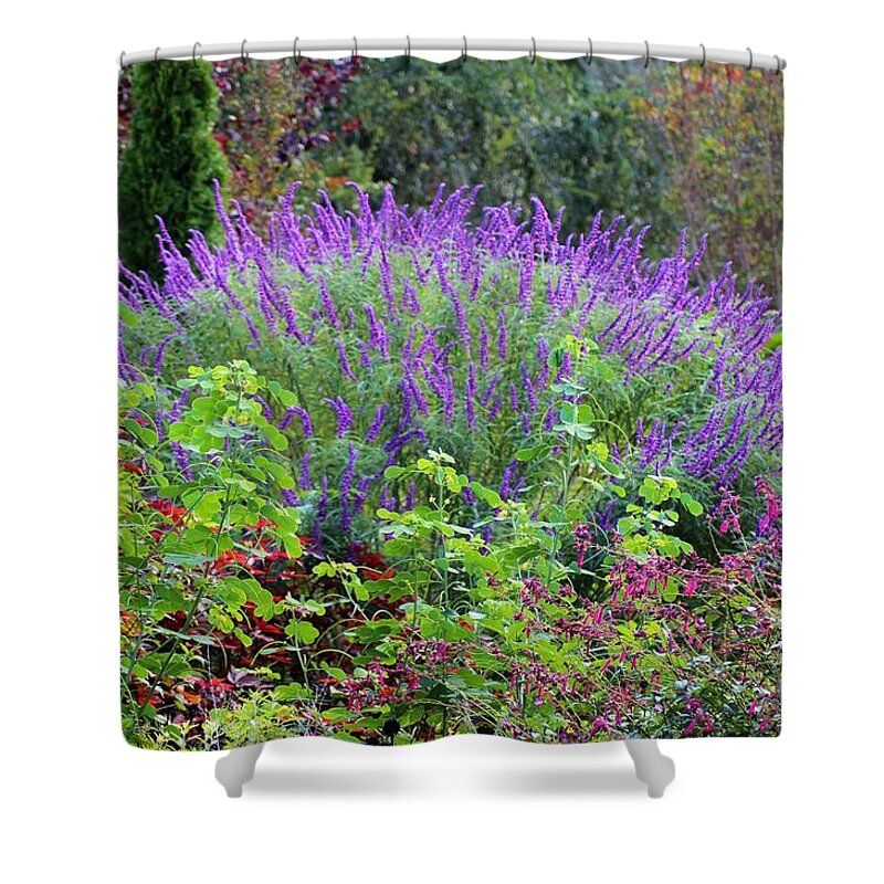Purple Salvia Shower Curtain featuring the photograph Purple Salvia In The Garden by Cynthia Guinn