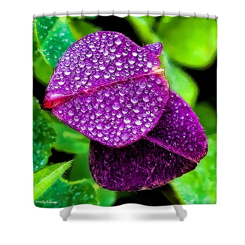 Clover Canvas Print Shower Curtain featuring the photograph Purple Shimmer by Lucy VanSwearingen