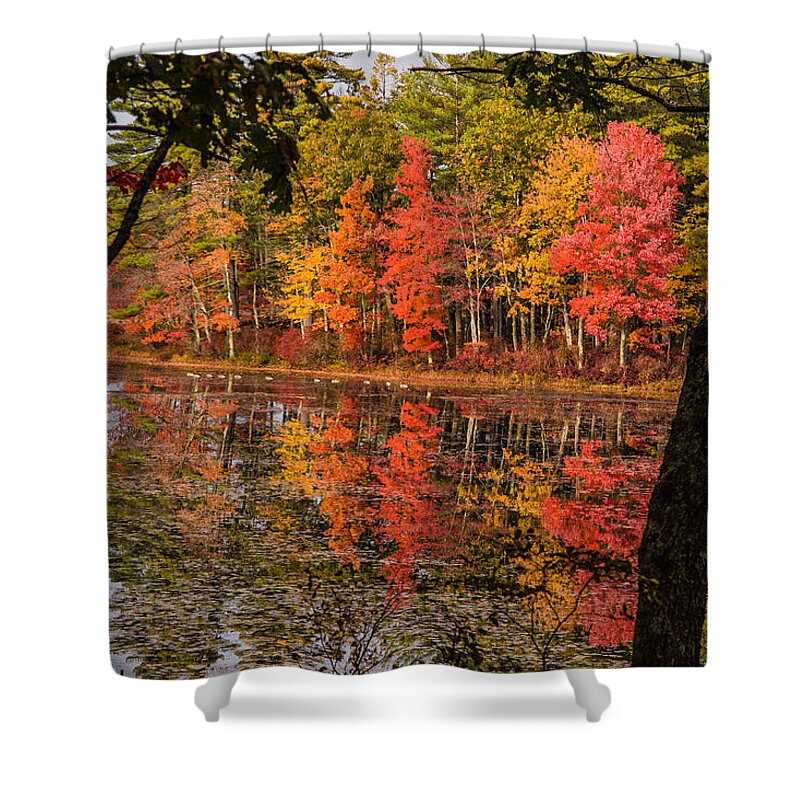 #foliage_reports Shower Curtain featuring the photograph Quabbin reservoir fall foliage by Jeff Folger