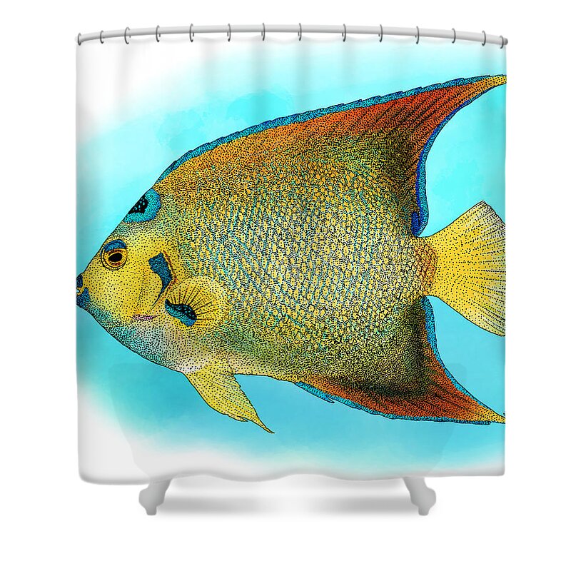 Illustration Shower Curtain featuring the photograph Queen Angelfish by Roger Hall
