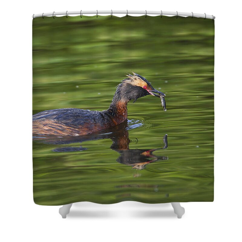 Doug Lloyd Shower Curtain featuring the photograph Quick Lunch by Doug Lloyd