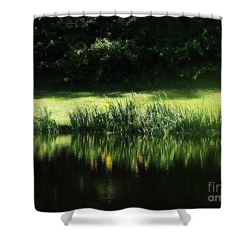 Still Pond Shower Curtain featuring the photograph Quiet Reflection by Michelle Welles