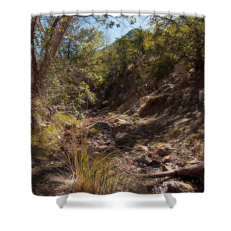 Mountain Shower Curtain featuring the photograph Quiet Time in the Mountains by Lucinda Walter