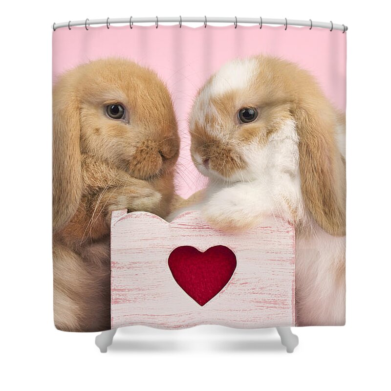 Bunnies Shower Curtain featuring the photograph Rabbits And Heart by MGL Meiklejohn Graphics Licensing