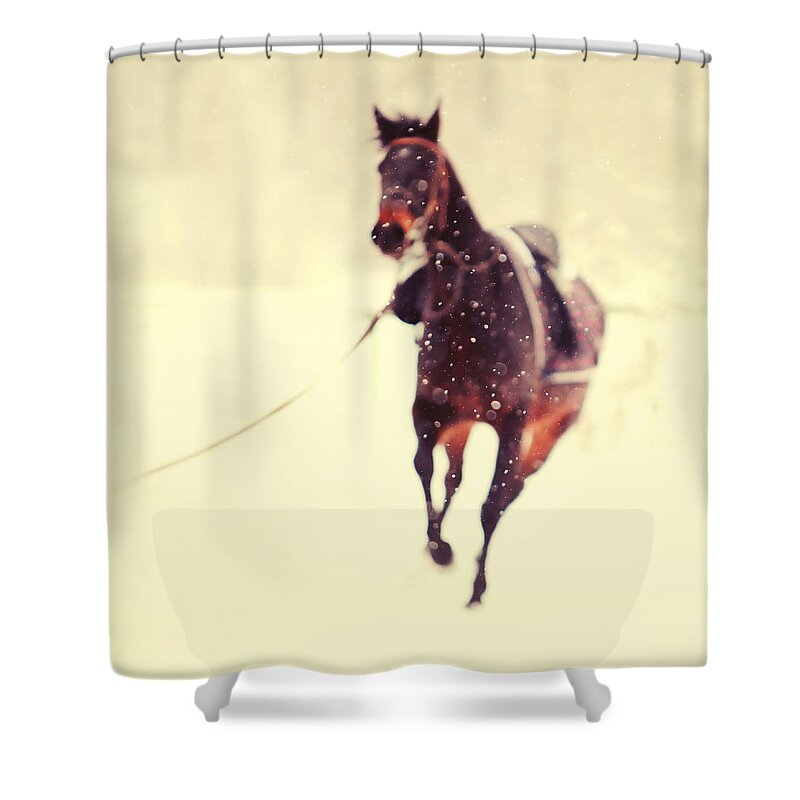 Horse Shower Curtain featuring the photograph Race in the Snow by Jenny Rainbow
