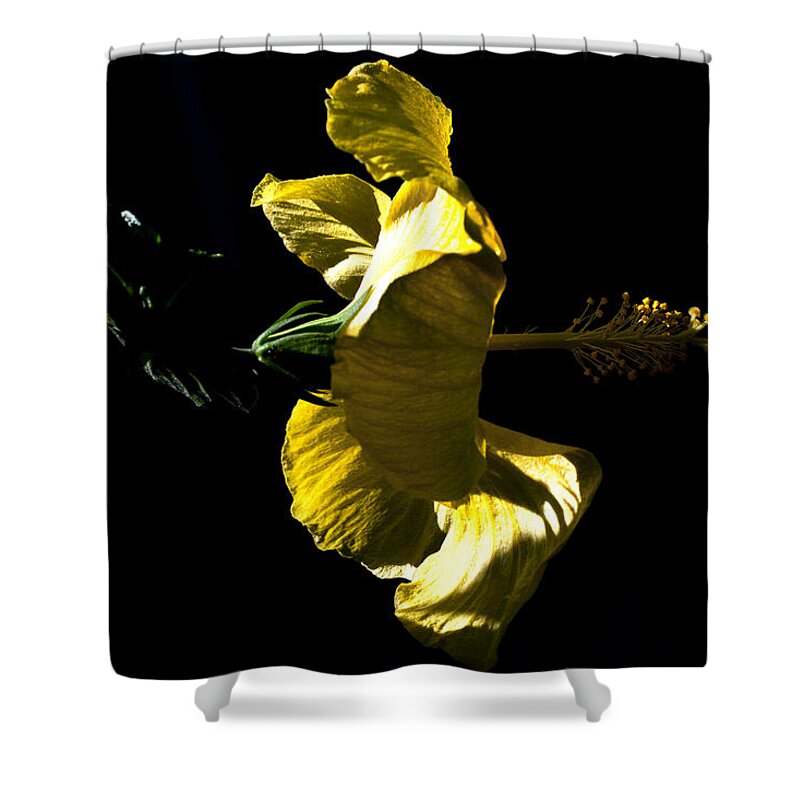 Yellow Shower Curtain featuring the photograph Radar by Doug Norkum