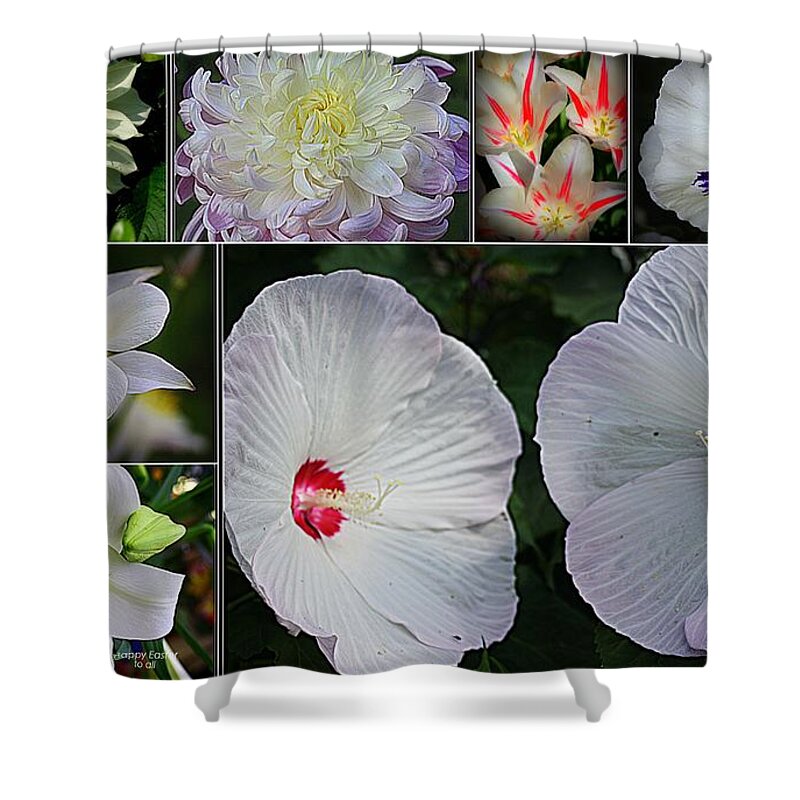 Radiant In White - Collage Of White Blossoms - White Flowers - Nature Shower Curtain featuring the photograph Radiant in White by Dora Sofia Caputo